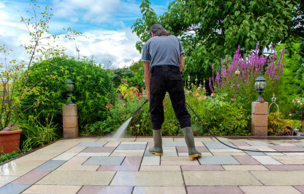 Best Animal Enclosure Cleaning  in Blue Ridge, AL