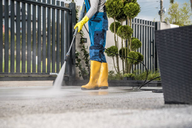 Best Driveway Pressure Washing  in Blue Ridge, AL